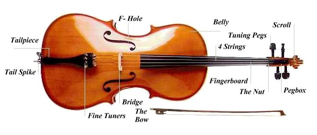 Eff Bed Pianist Love Cello PNG