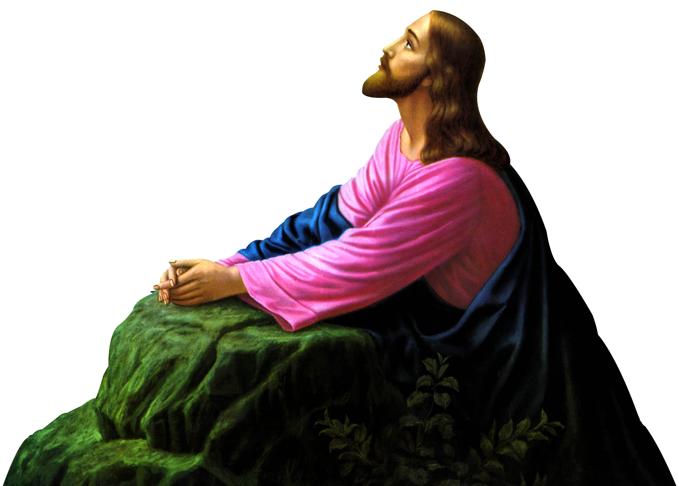 Temple Freaking Meditation Bible Christ PNG