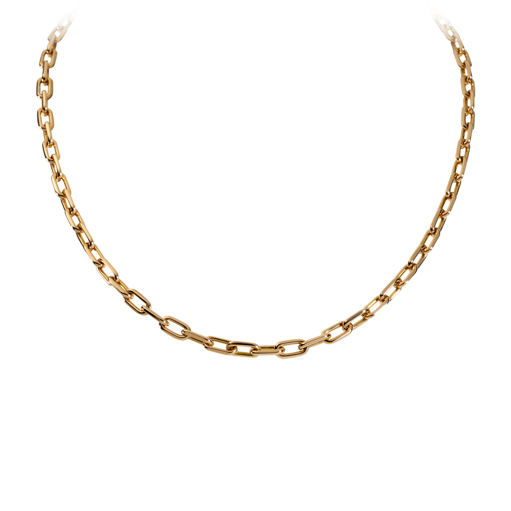 Necklace Lifestyle Jewel Jewellery Adornment PNG