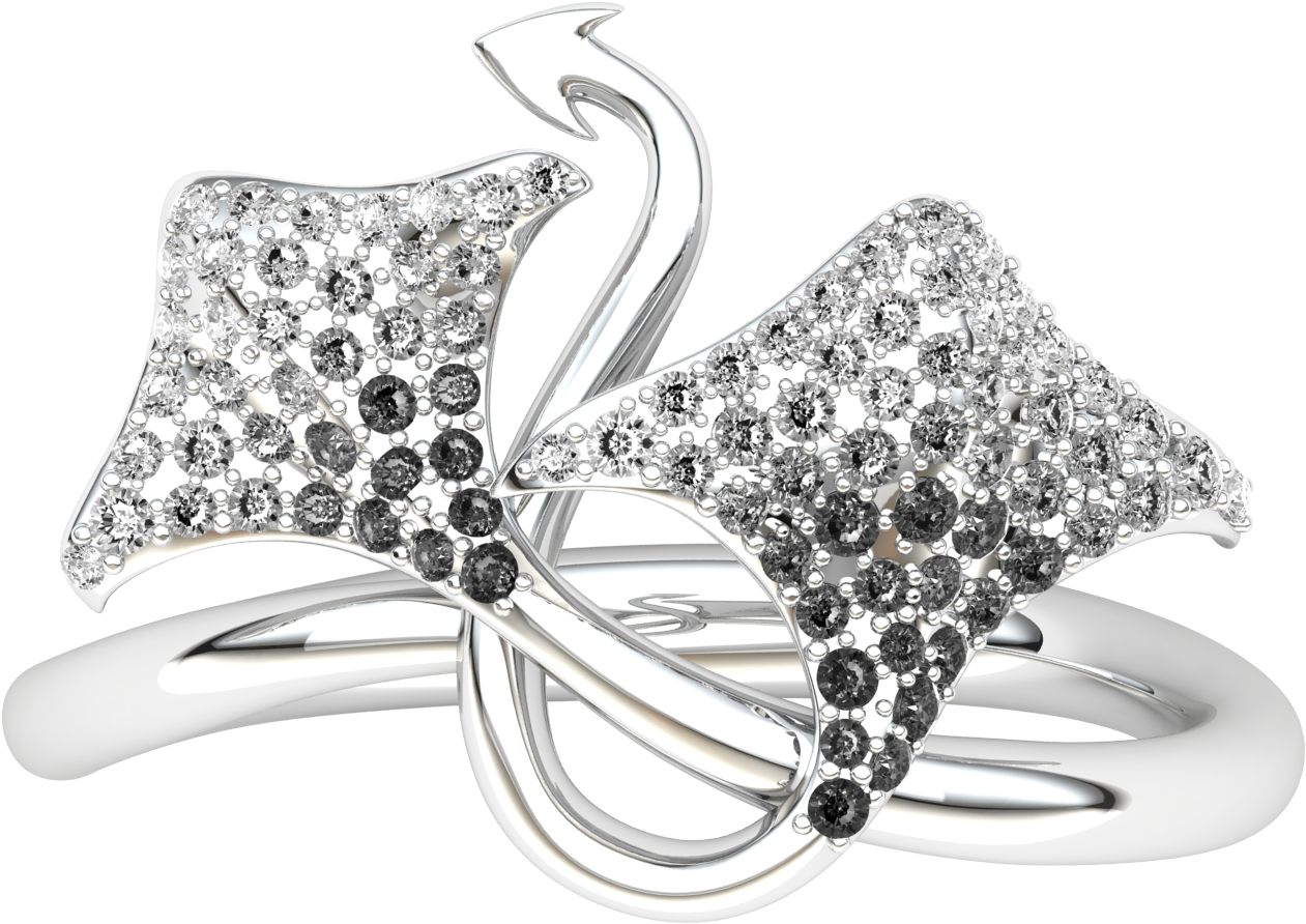 Jewel Jewellery Ring Holidays PNG