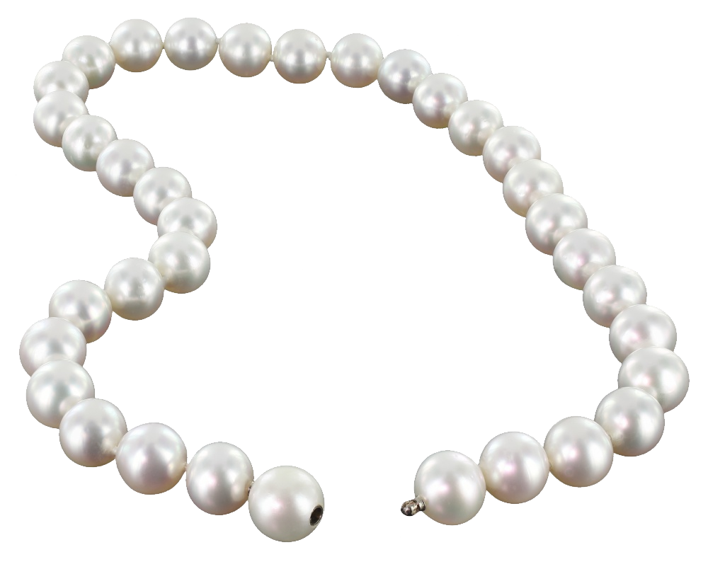 Store Pearl Schmuck Jewelry PNG