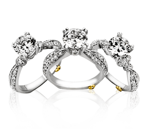 Moment Nature Beaut Puppy Jeweler PNG
