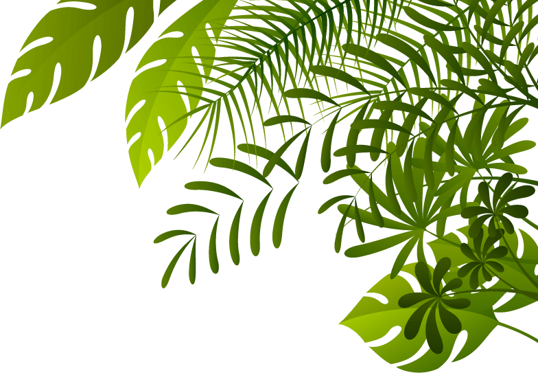 Chaos Undergrowth Backgrounds Jungle World PNG