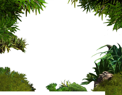 Dusk Woods Jungle Night Border PNG