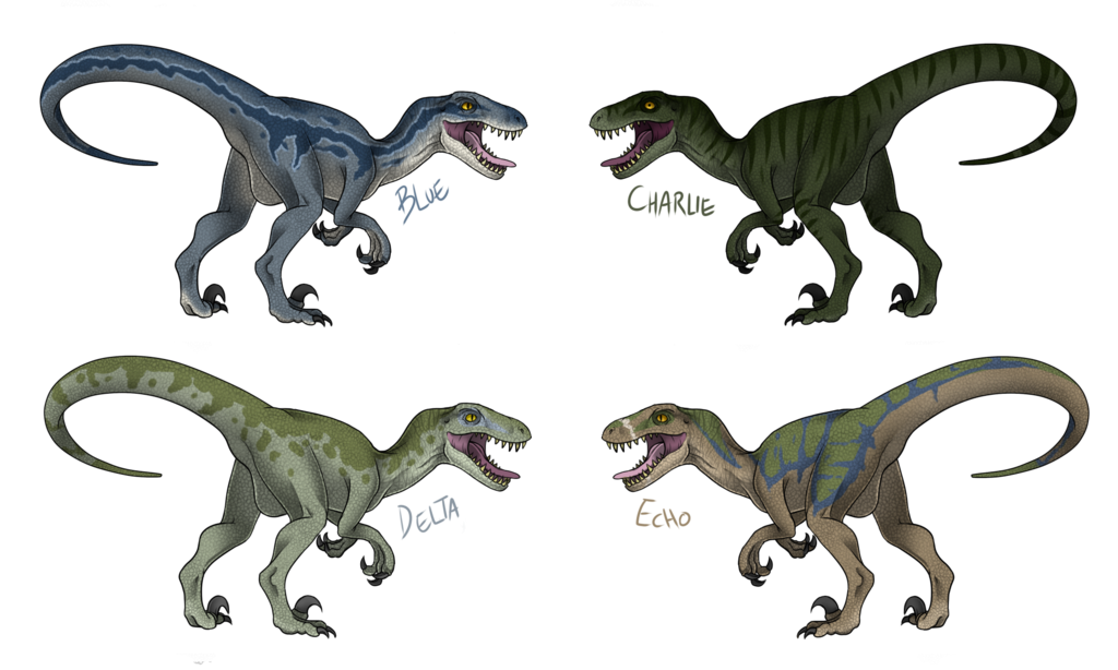 Drawing Tyrannosaurus Fauna Toronto Raptors PNG