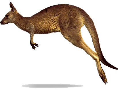 Kangaroo Green Mammal PNG