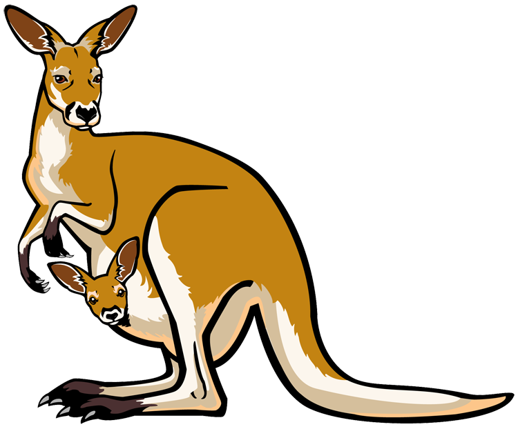 Creature Handle Joey Kangaroo Marsupial PNG