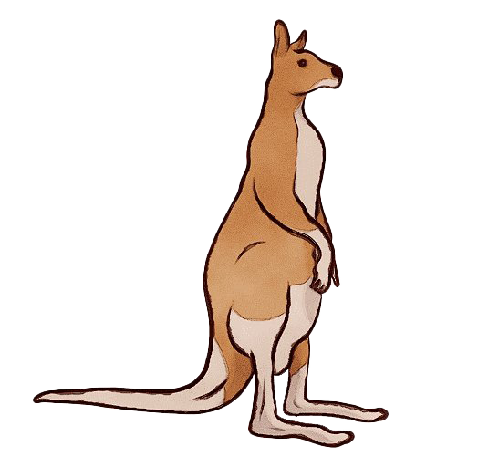 Koala Kangaroo Platypus Possum Monkey PNG