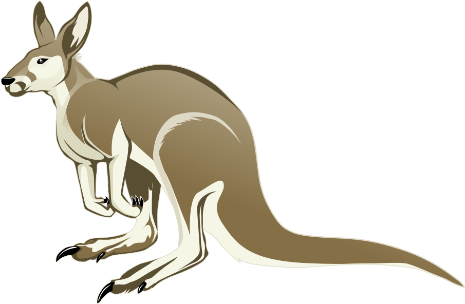 Animals Dolphin Lizard Critter Kangaroo PNG