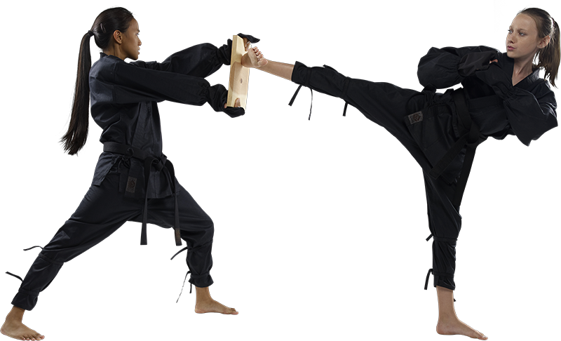 Day Karate Athletic Cat Gym PNG