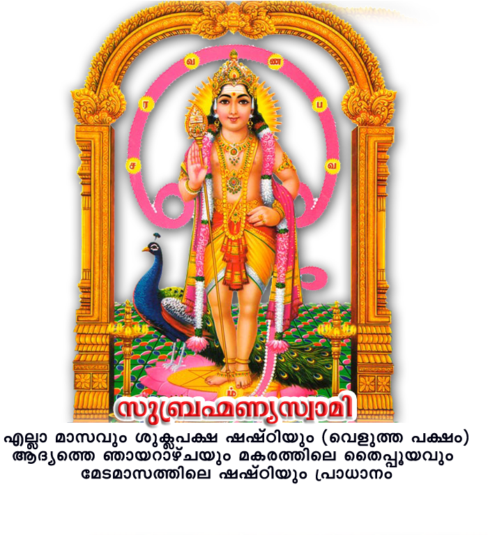 Lord Religion Kartikeya PNG