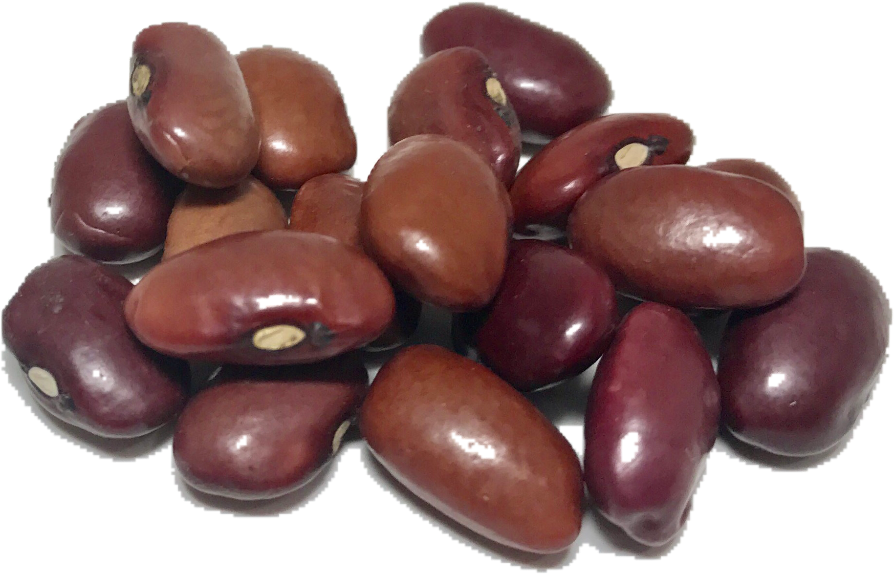 Liver Heart Fruits Corn Beans PNG