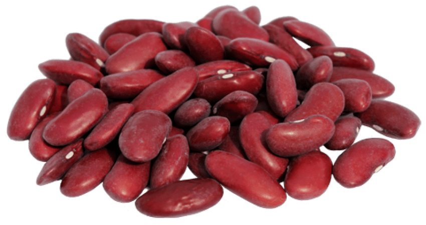 Radish Transplantation Beans Marrow Yams PNG