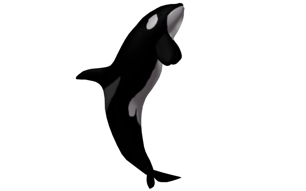 Shooter Kitty Cetacean Whale Cute PNG
