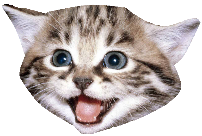 Tabby Wuss Snatch Animals Kitten PNG