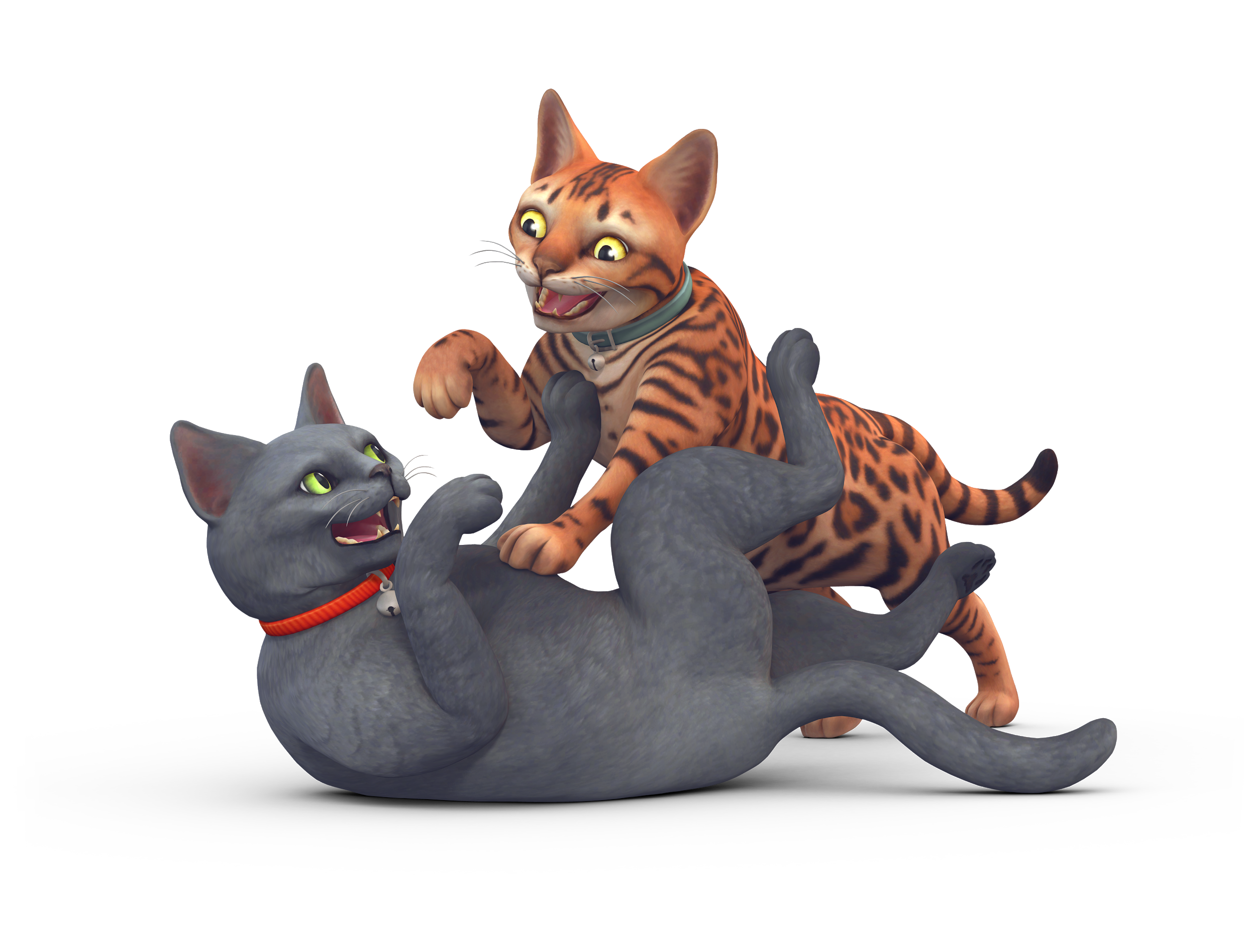 Pet Cats Sims Dog Mutt PNG