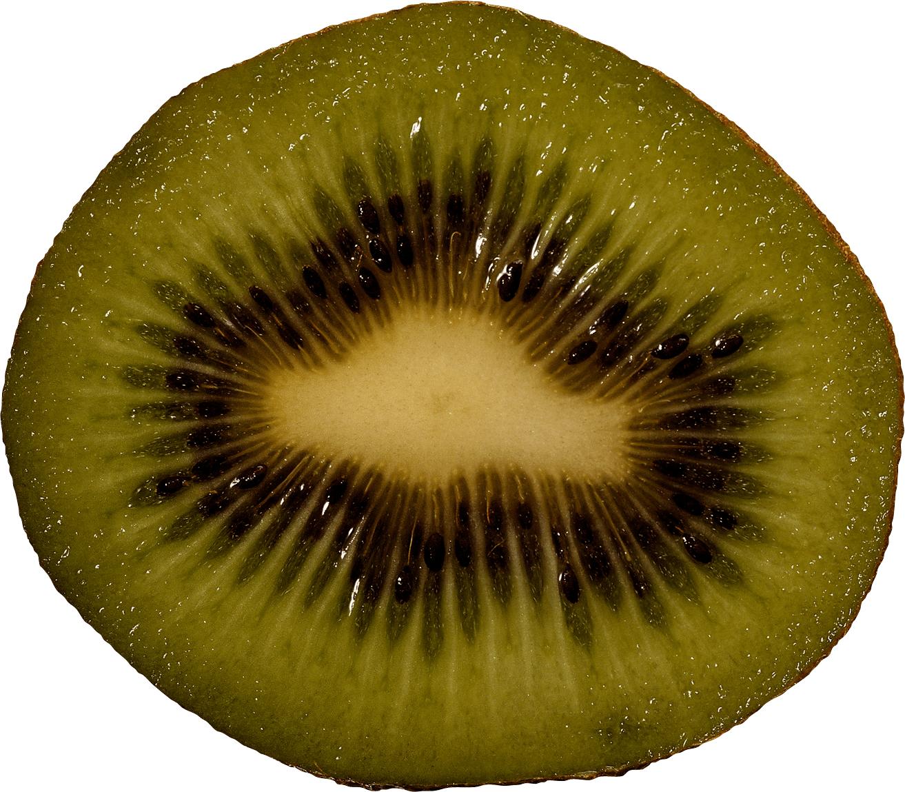 Kiwifruit Canon Kiwi Snack Franc PNG