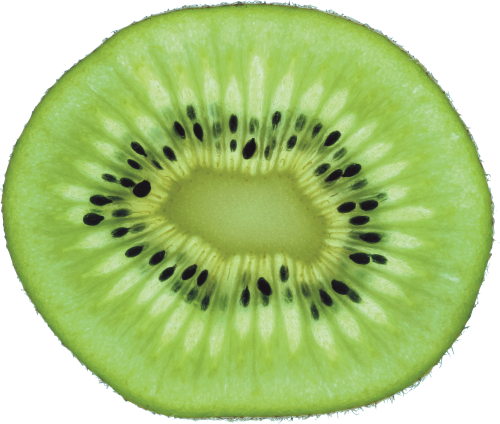 Watermelon Dollar Kiwi Apple Befit PNG