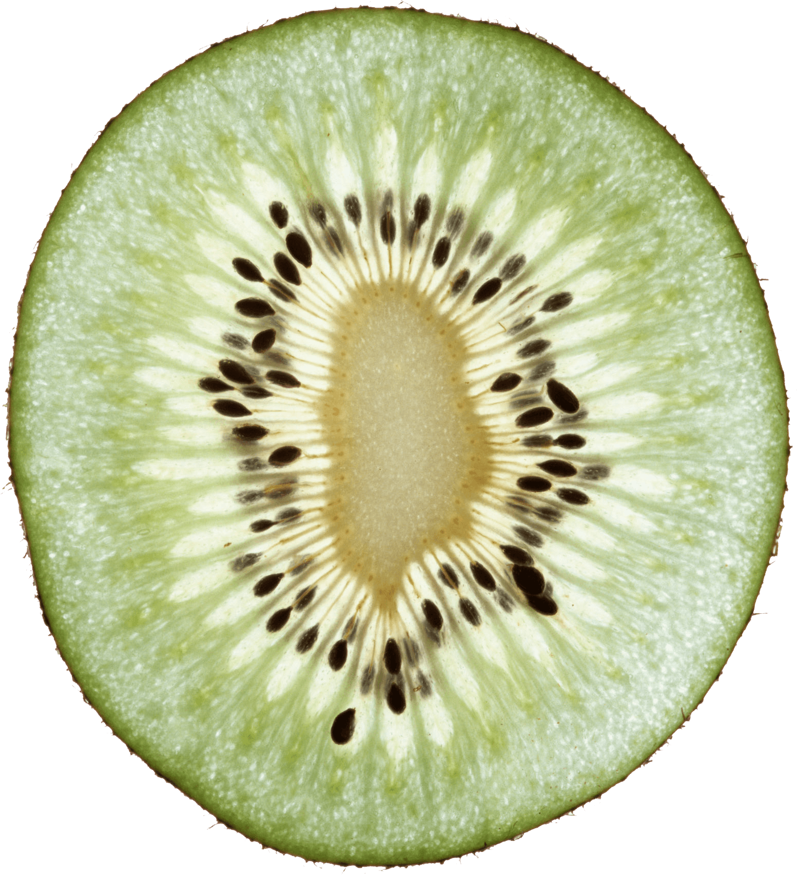 Red Kiwifruit Delicious Live Dollar PNG