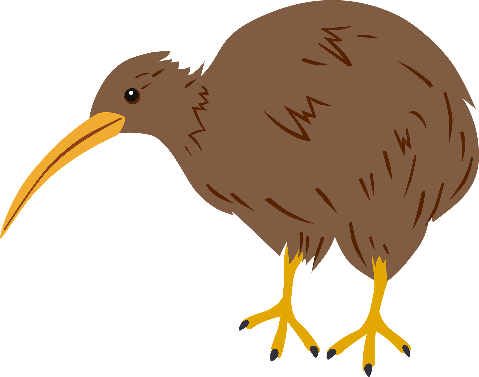 Rooster Birdie Wallabies Ostrich Drumstick PNG