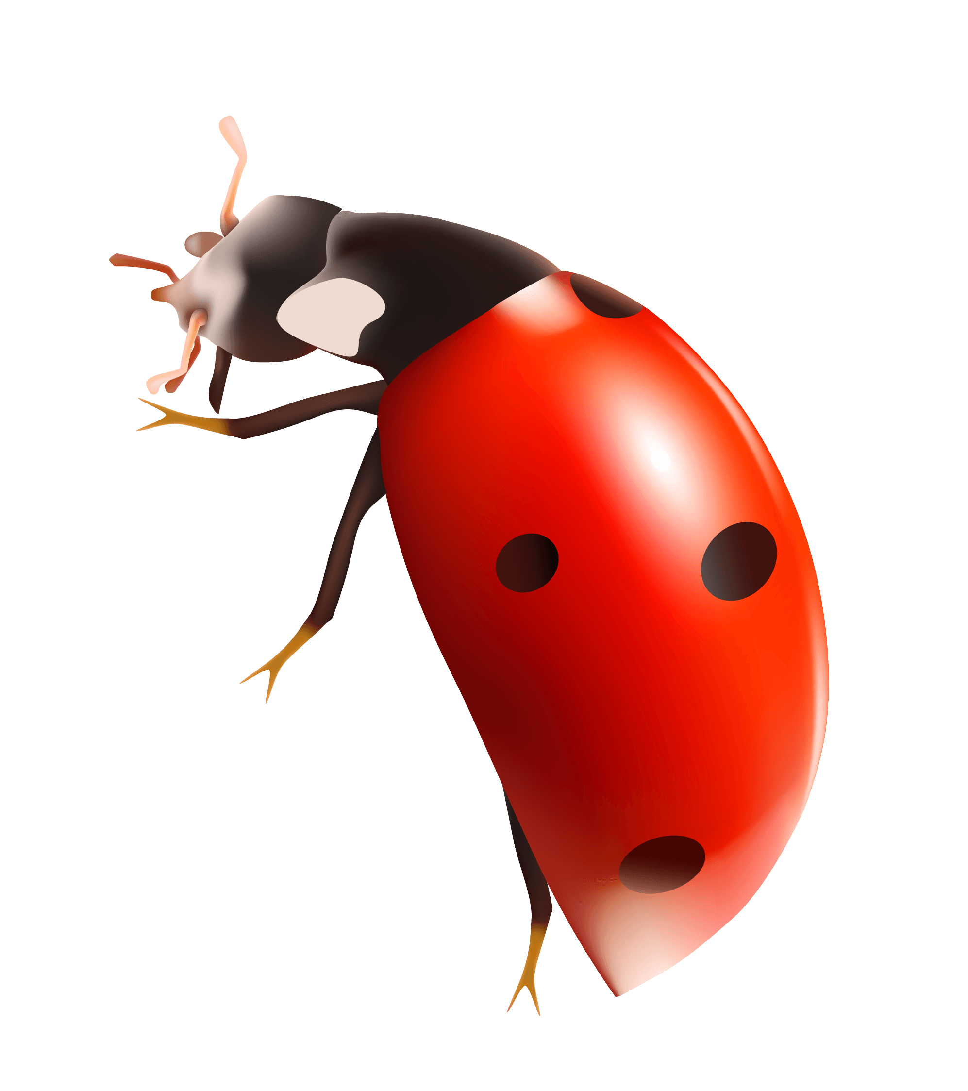 Red Gardening Bunny Positive Wasp PNG