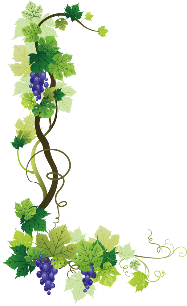 Grape Handout Bunch Vine Leaf PNG