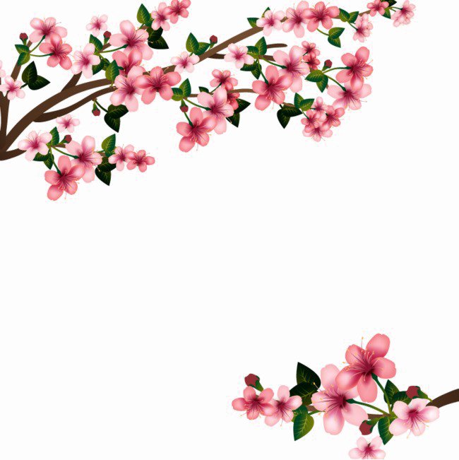 Frond Cherry Leaflet Papers Clover PNG