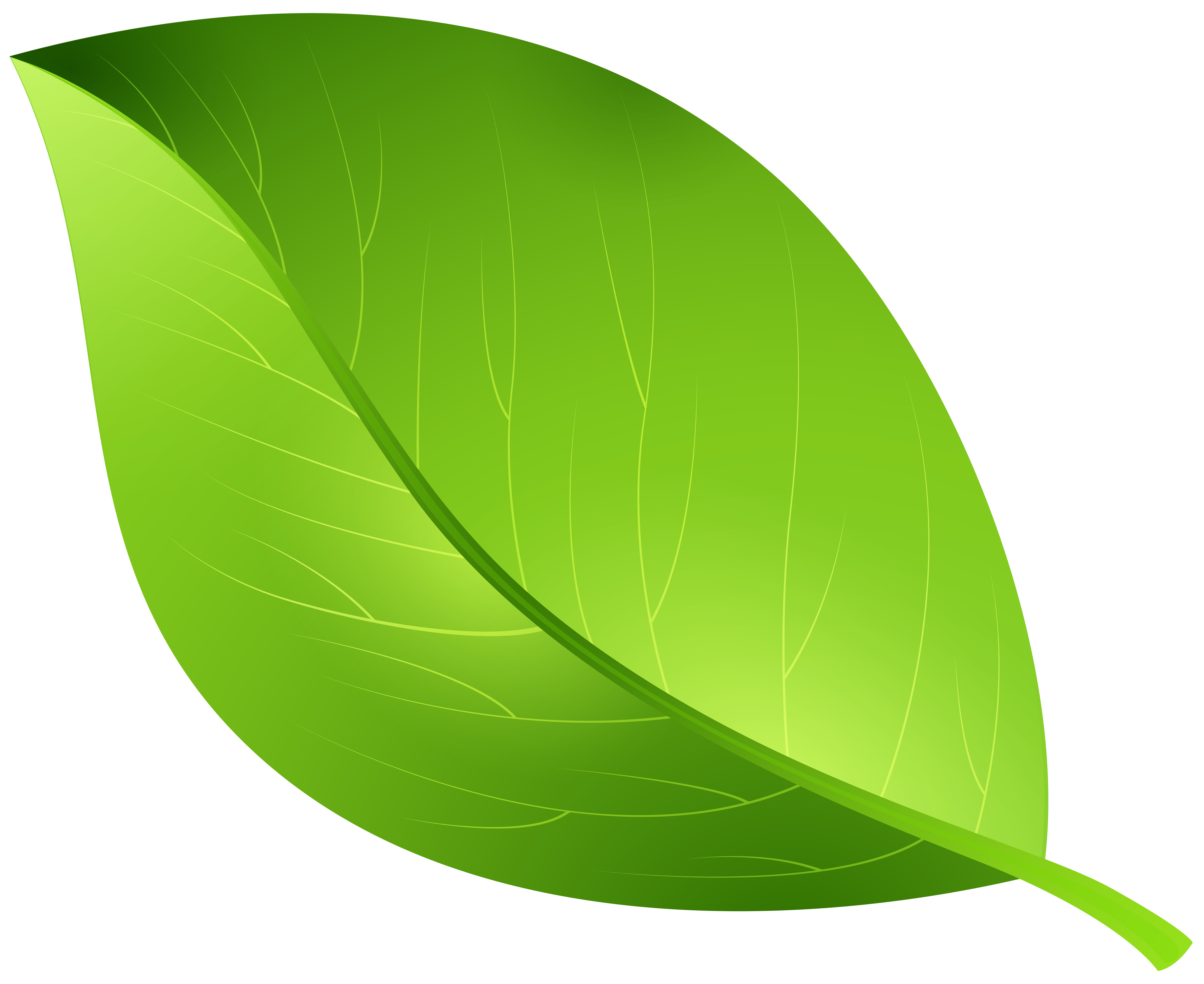 Smilax Material Green Cartoon Leaf PNG