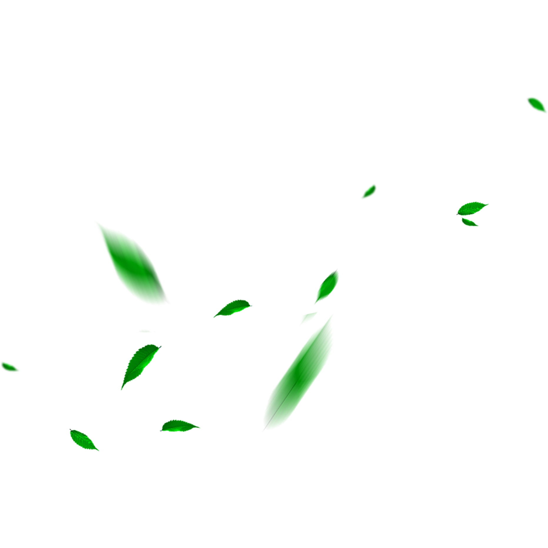 Tree Green Falling Line Maple PNG