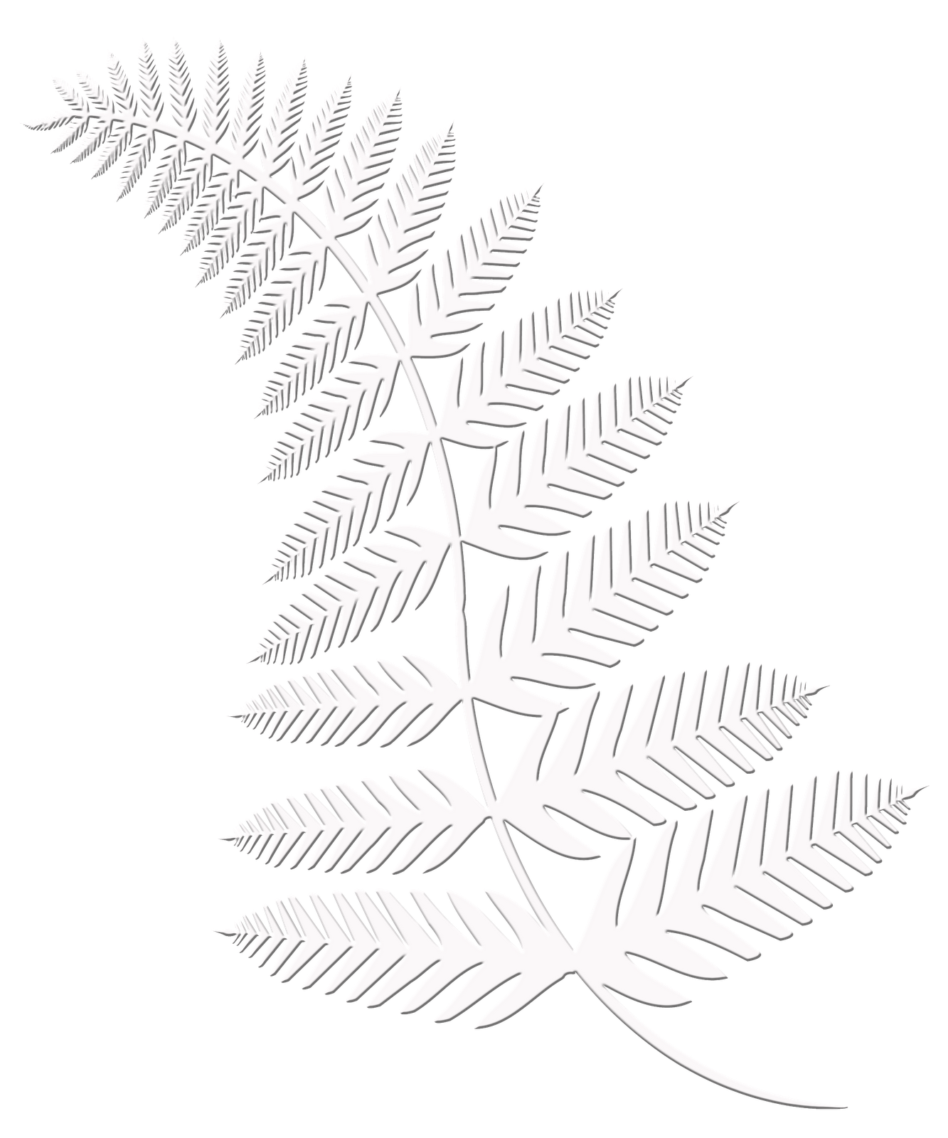 Riff Symmetry Line Riffle Leaf PNG