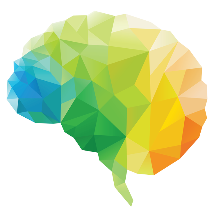 Polygon Green Worksheets Human Brain PNG