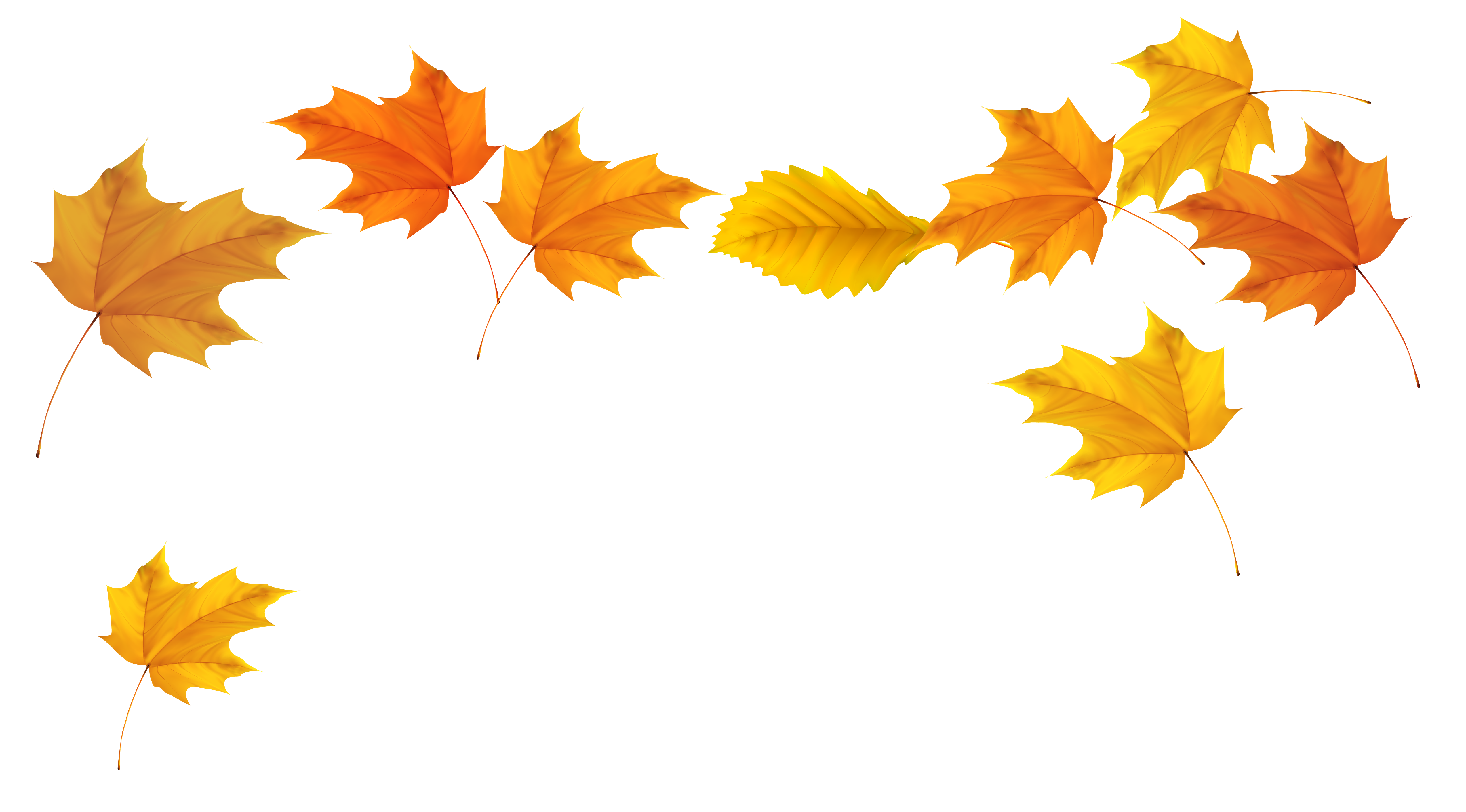 Cool Leaves Falling Photography Renders PNG