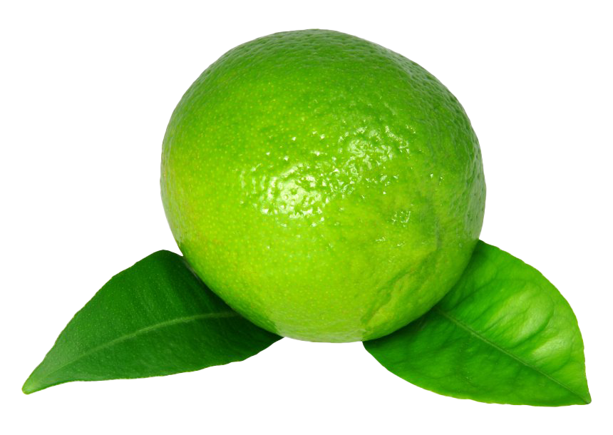 Green Word Fennel Lemongrass Cucumber PNG