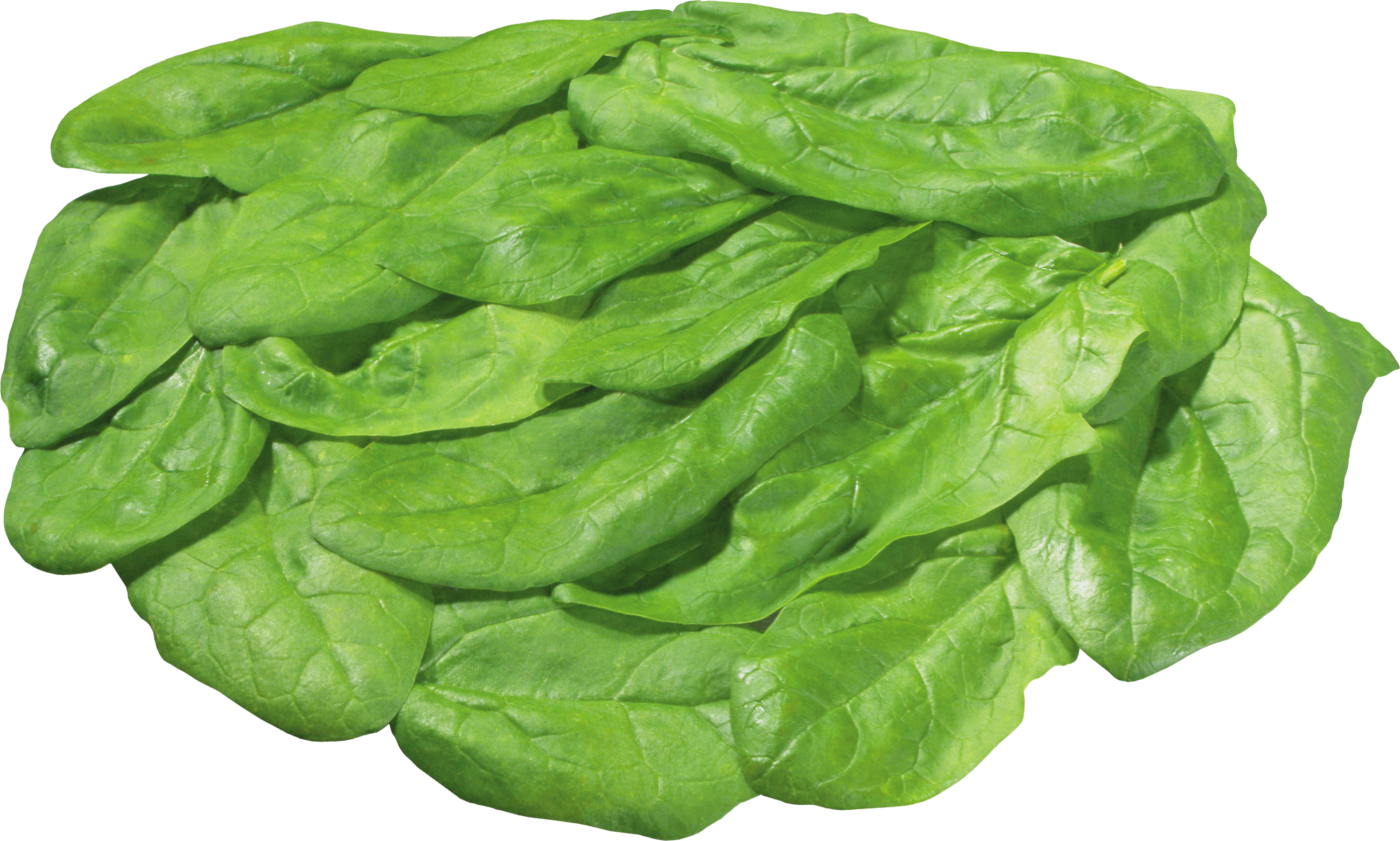 Lettuce Onions Peppers Almonds Quality PNG