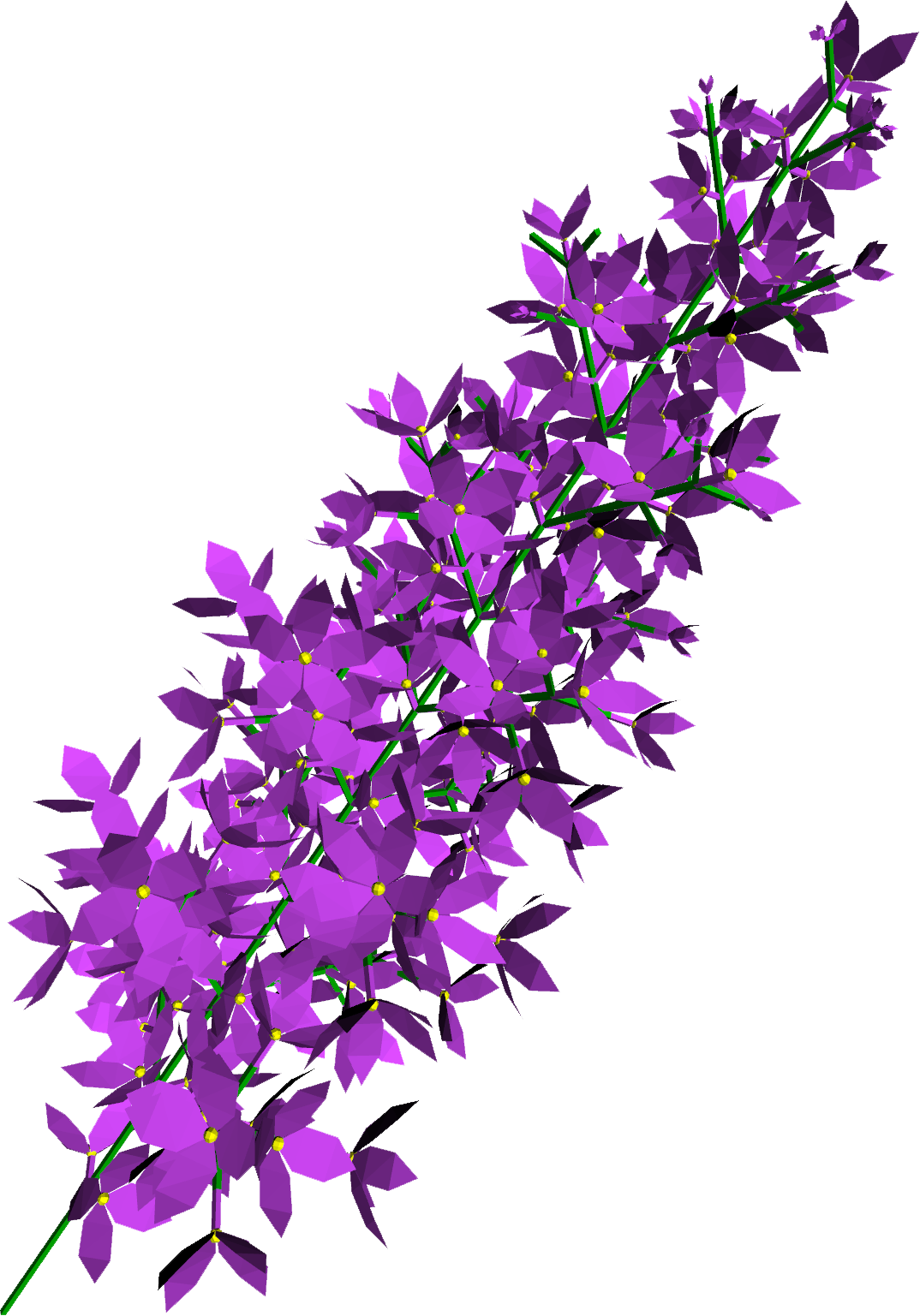 Chromatic Action Flower Lilac Food PNG