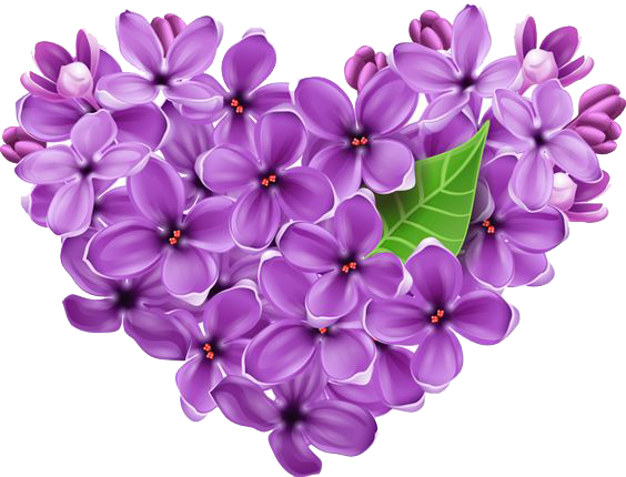 Flower Background Chromatic Fun Lilac PNG