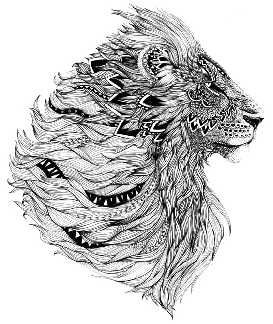 Lion Art Illustration Flash Leopard PNG
