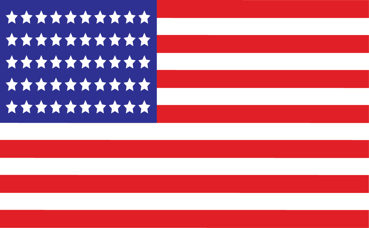 Swoosh Internet American Flag Signature PNG