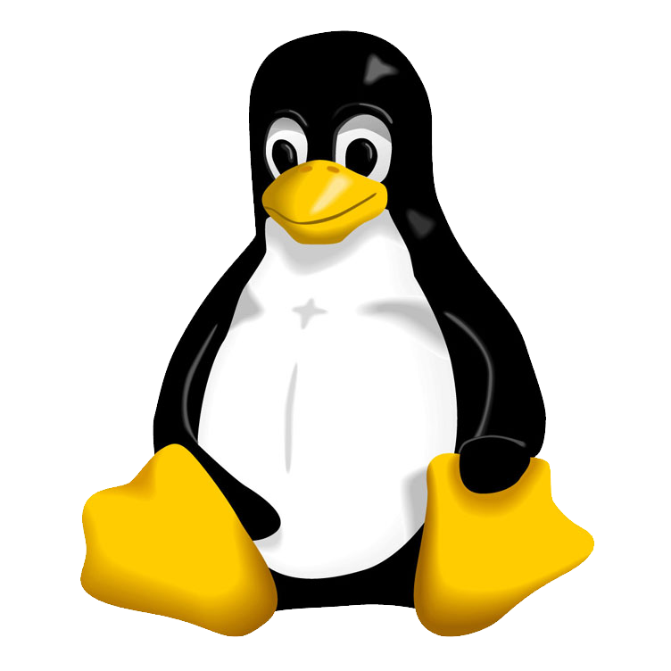 Tux Linux Bird Penguin Etching PNG