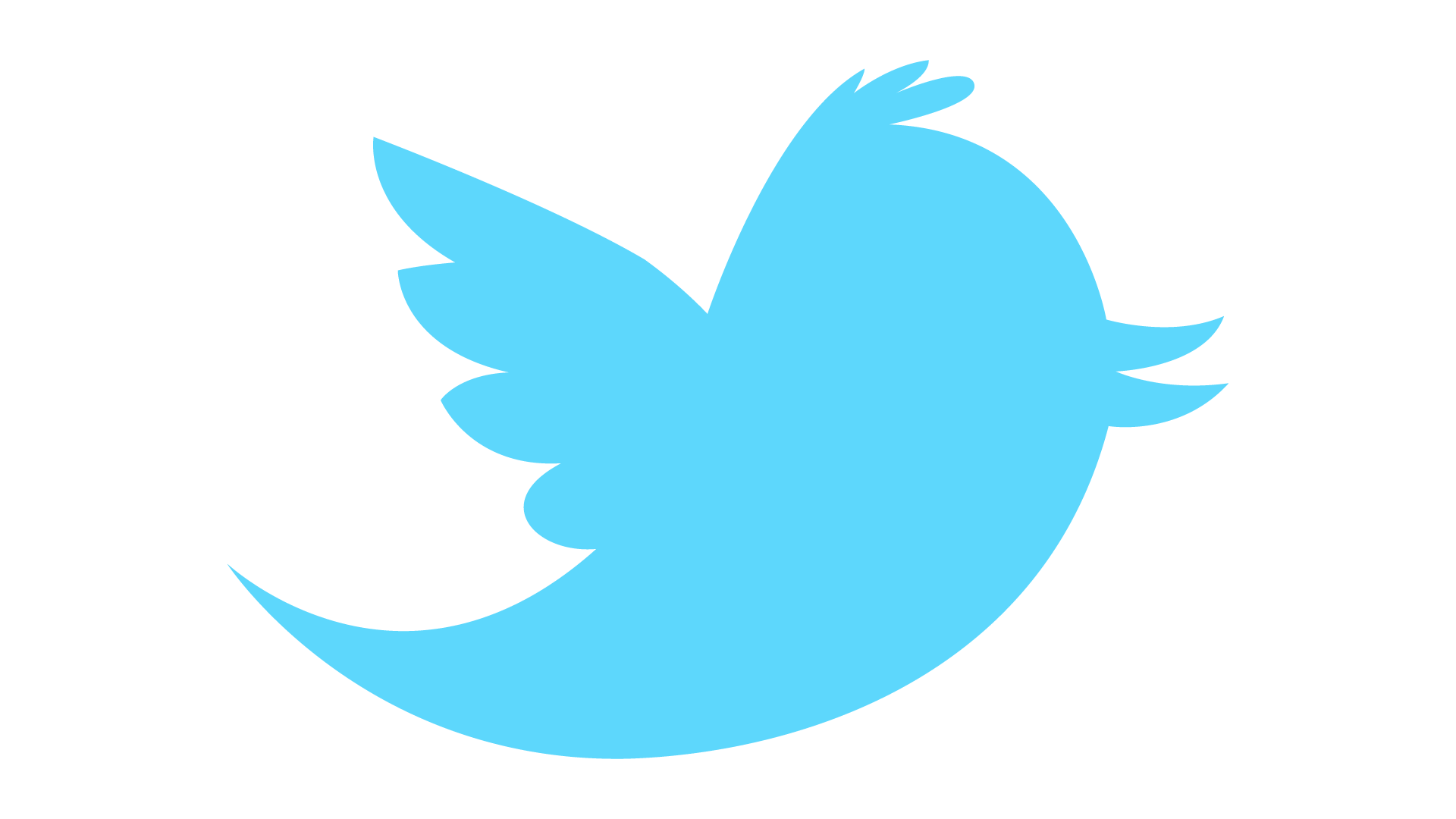 Twitter Technology Information Catalog Logo PNG