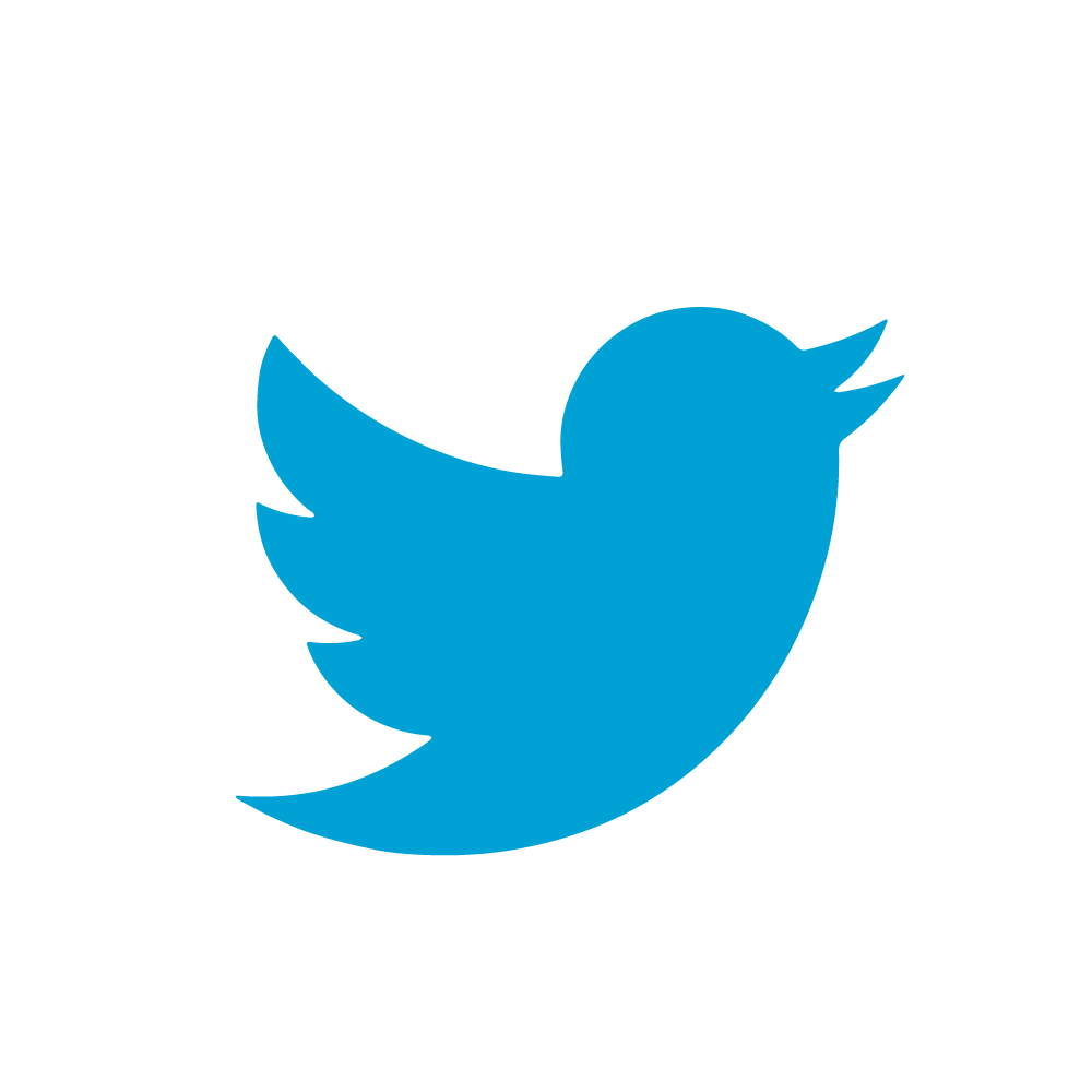 Social Bird Icons Logo Trademarked PNG