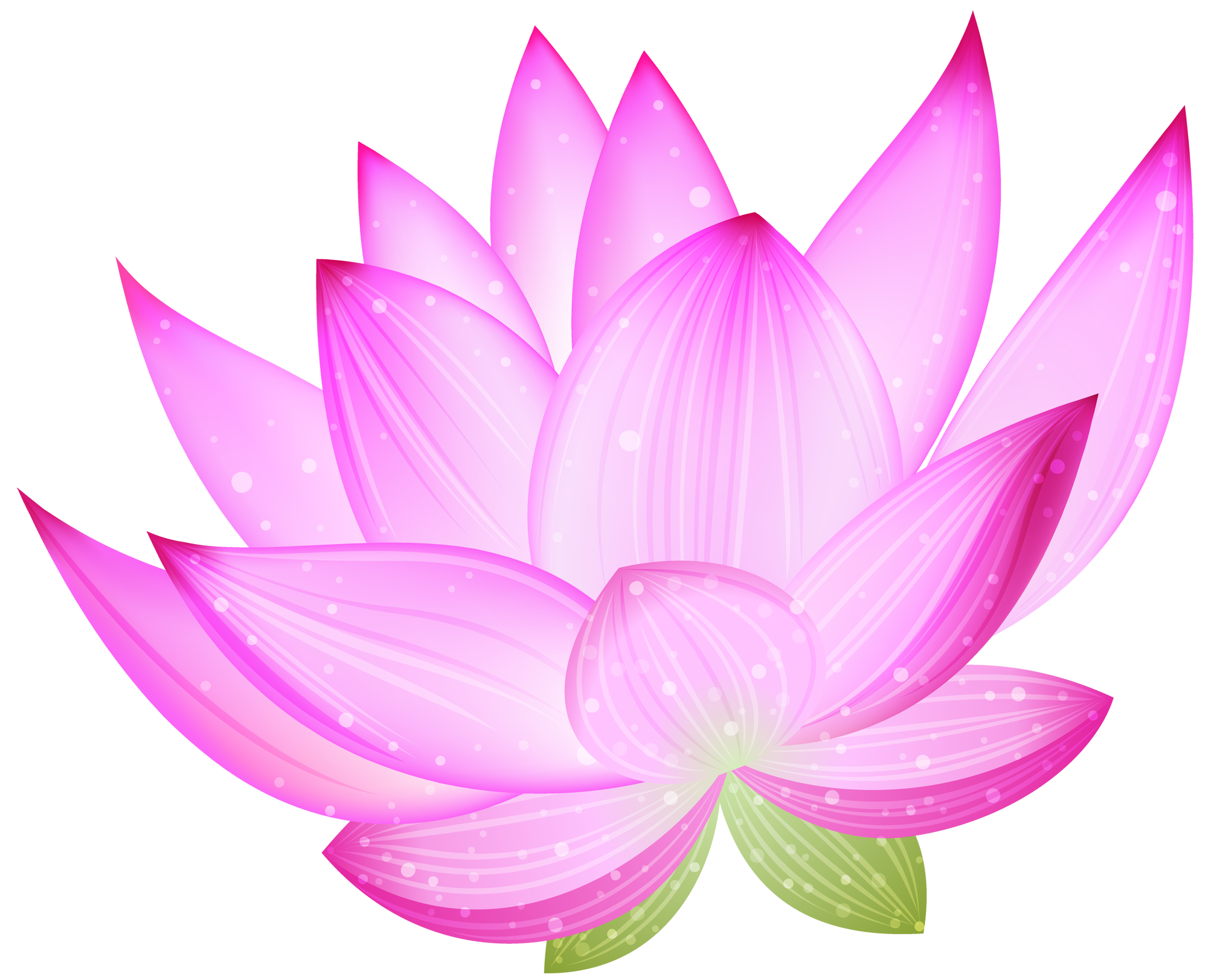 Night Pink Face Lotus Pretty PNG