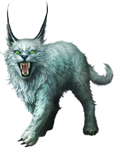Ocean Kitty Furry Dogs Lynx PNG