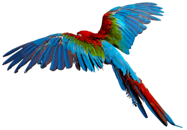 Owlet Lovebird Macaw Tree Zoo PNG