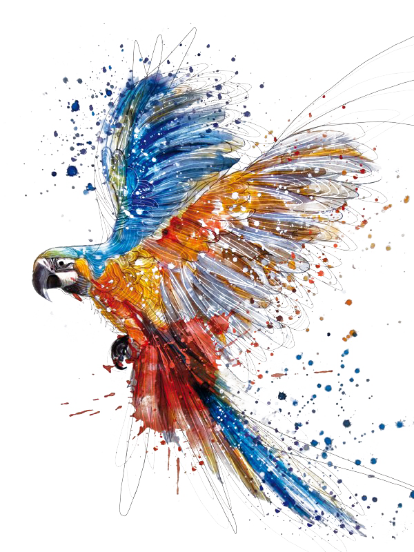 Watercolor Anteater Arts Painting Wing PNG