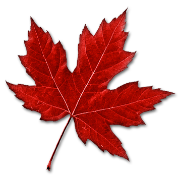 Sap Amazing Leaf Canada Drawings PNG