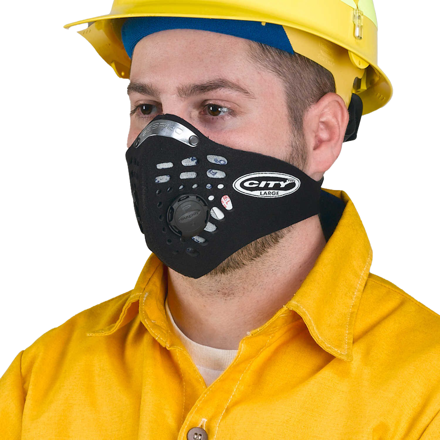 Anti-Pollution Mask Wolf Shroud Domino PNG