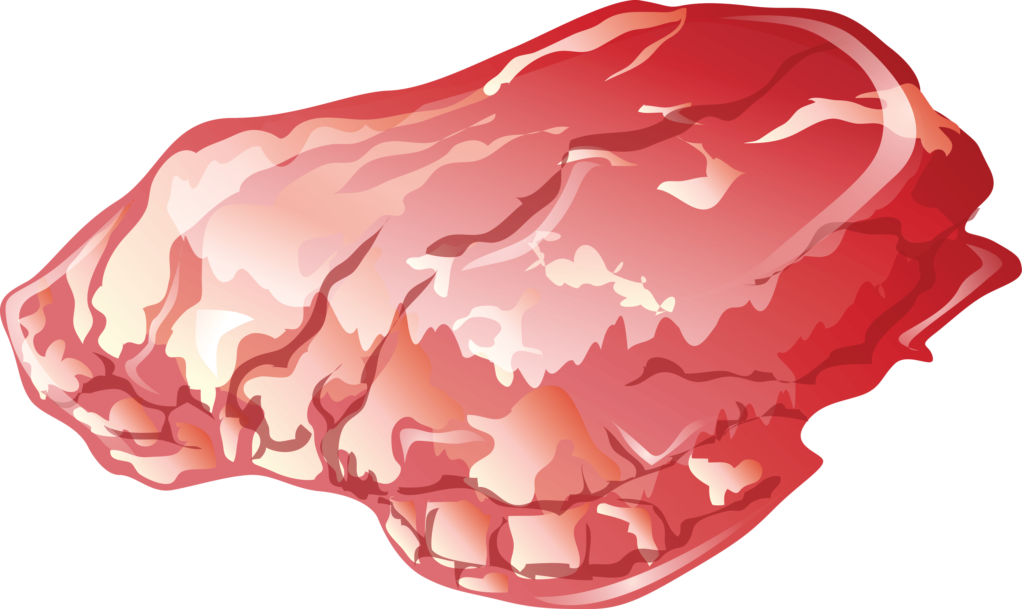 Veal Bone Nature Gist Meat PNG