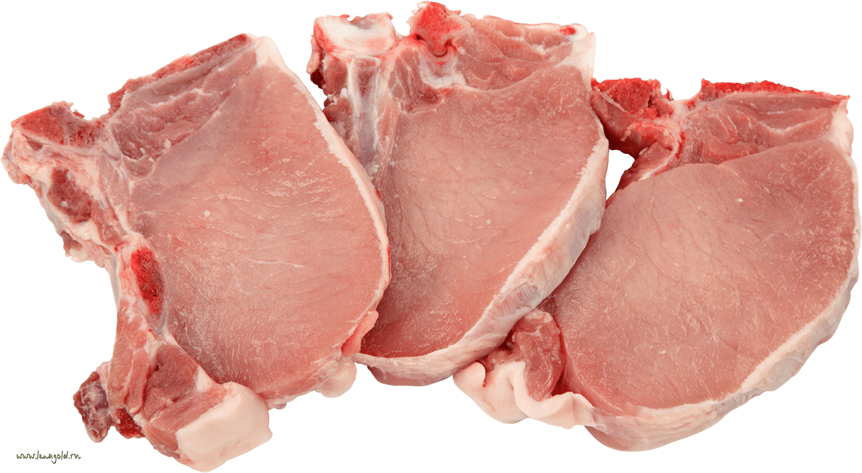 Nutrition Goose Livestock Slaughter Veggie PNG