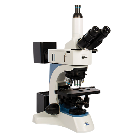 Spotlight Penlight Microscope Endoscope Objects PNG